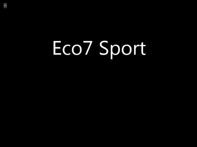 Eco7Sport_Flug