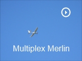 Merlin.mp4