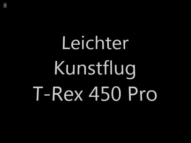 RexPro_Kunstflug